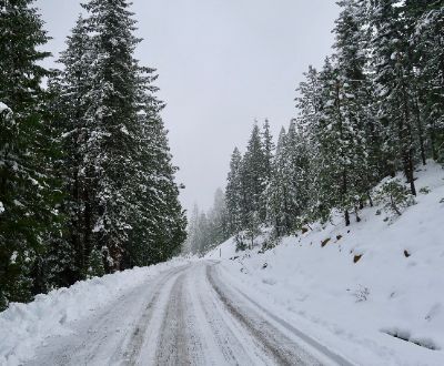  Snowy Road 
